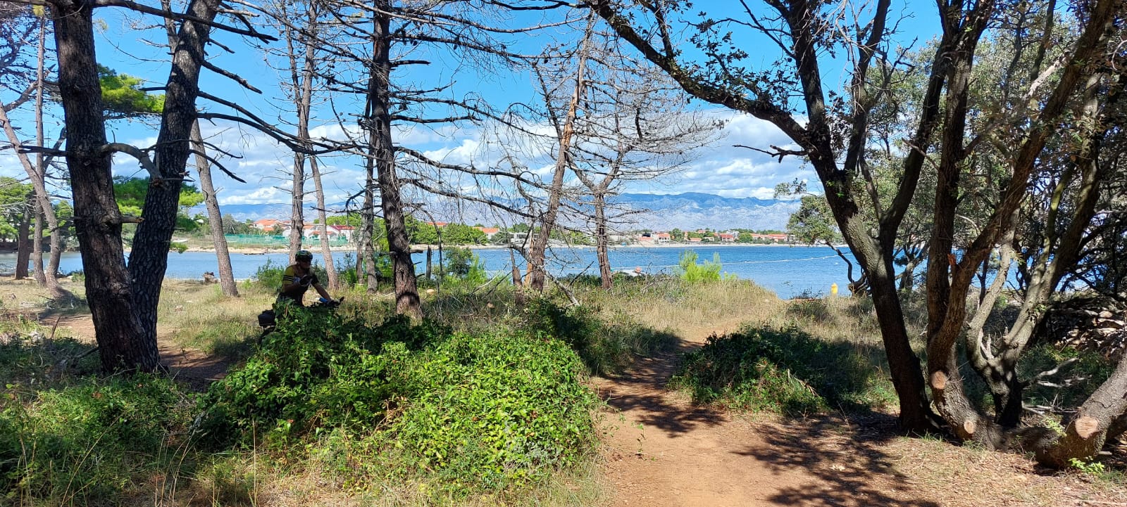 Island Vir Cycling Experience 4
