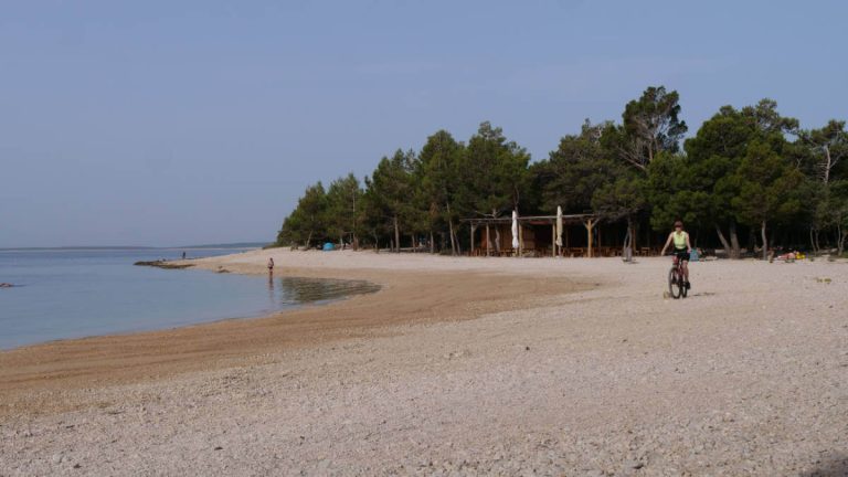 Šimuni