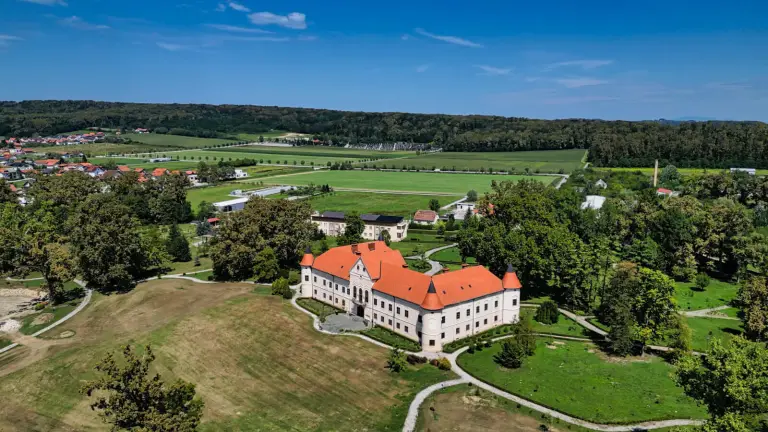 Lužnica Castle