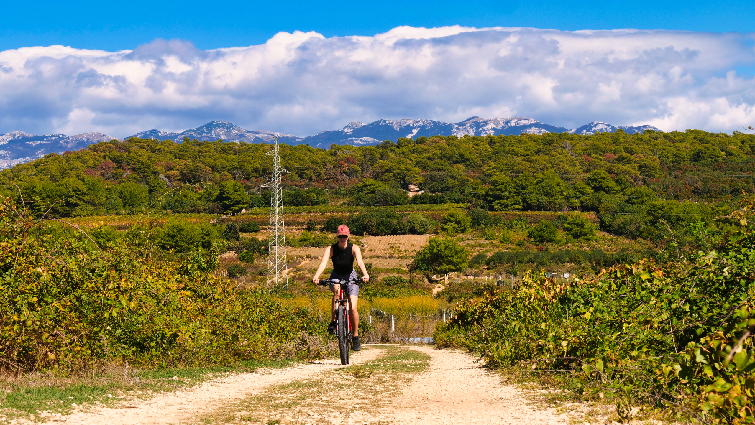 Sustainable Travel 6